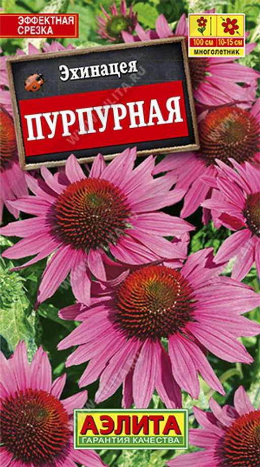 Эхинацея пурпурная (Рудбекия пурпурная)