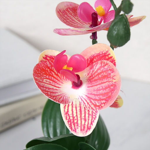 Цветочная композиция Орхидея 27 см / ZH-010 /уп 10/120/ - Галеонтрейд фото 5