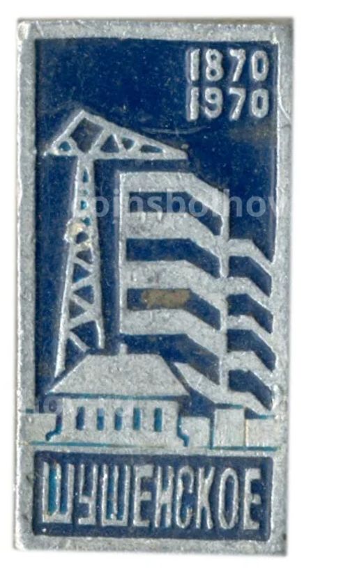 Значок Шушенское