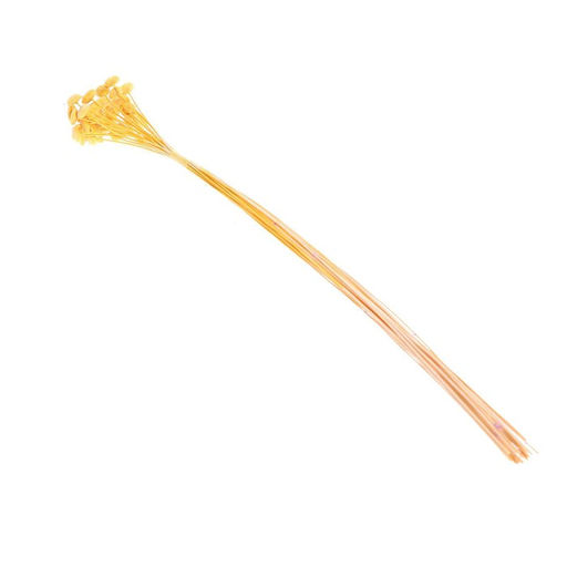 Сухоцвет Батао набор 20 шт., цвет жёлтый - Simaland фото 3