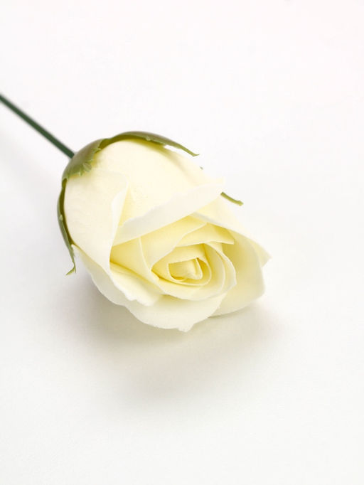 Цена за 2 шт. Мыло для рук С Праздником весны, 1 шт., аромат цветочный, Чистое счастье  фото 3