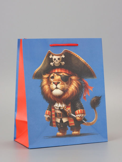 Цена за 2 шт. Пакет подарочный ламинированный «Пират» 18×22.3×10 см