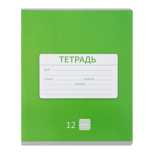 Комплект тетрадей из 10 штук 12 листов в частую косую линию Однотонная Новая Школьная, обложка мелованная бумага, ВД-лак, блок офсет - Calligrata фото 4