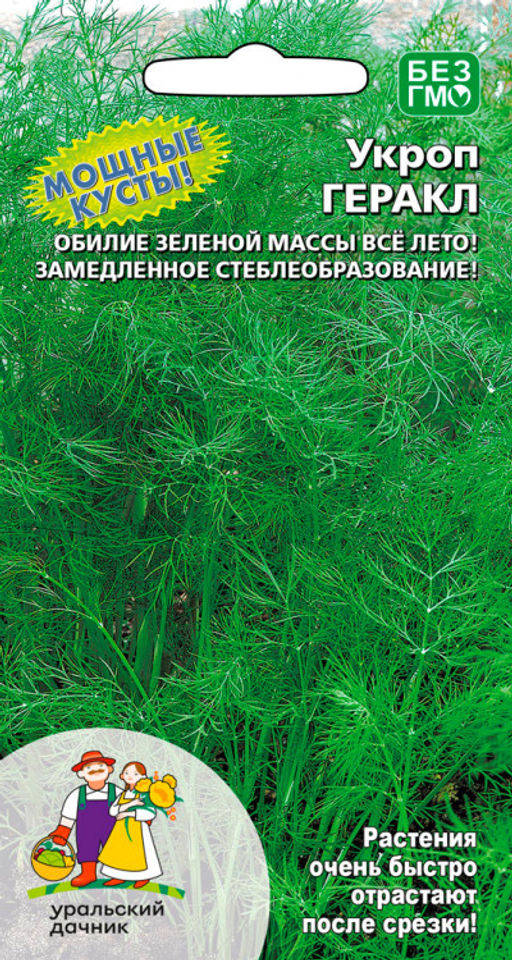 Укроп ГЕРКУЛЕС / ГЕРАКЛ Обилие зелёной массы всё лето! Замедленное стеблеобразование! Мощный и пушистые кусты!