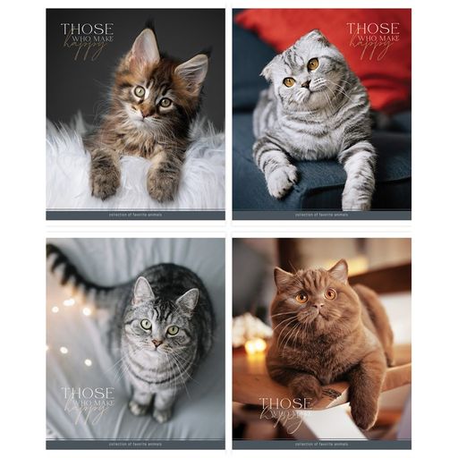 Тетрадь 96л. ArtSpace "Питомцы. Cat" клетка (Т96к_45899)
