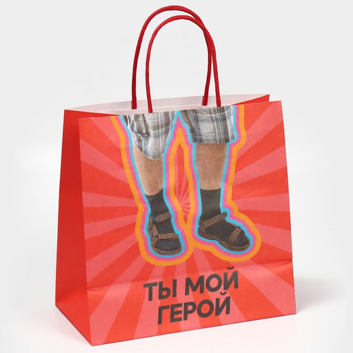 Пакет подарочный, упаковка, Герой, 22?22?11 см