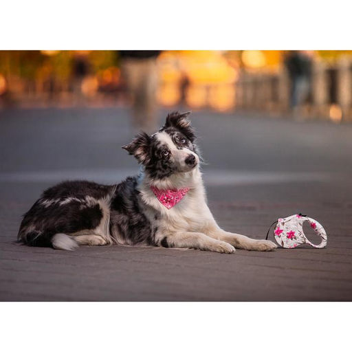 Рулетка Лапа, 5 м, до 35 кг, принт цветы - Пижон фото 12