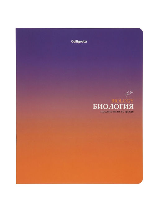 Комплект 12 предметных тетрадей «Градиент», 48 листов, справочная информация, 60 г