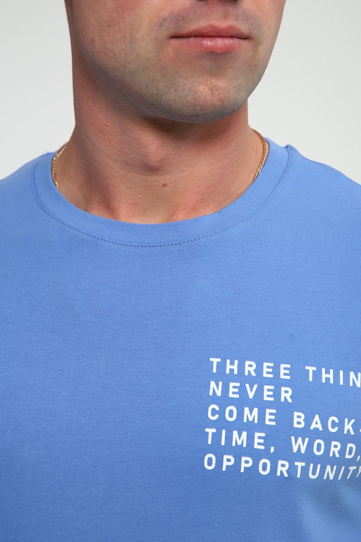 Футболка мужская 052