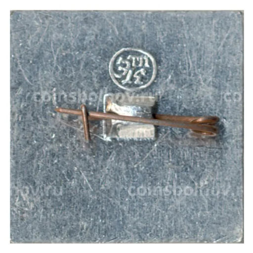 Значок Выставка Электро-72