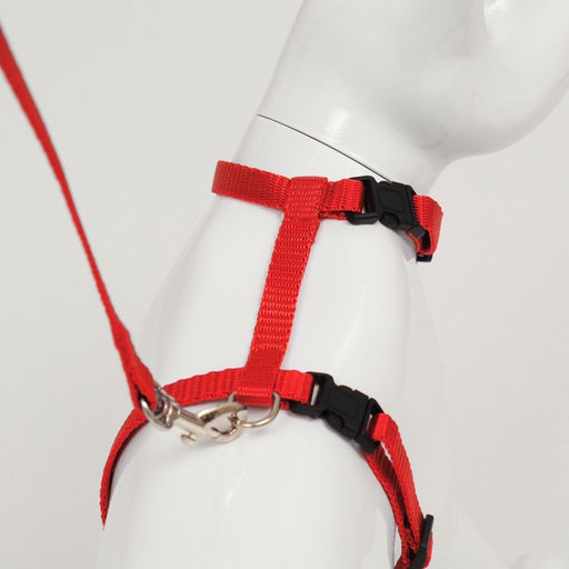 Комплект для кошек, ширина 1 см, ОШ 16,5-27 см, ОГ 21-35 см, поводок 120 см, красный - Пижон фото 5