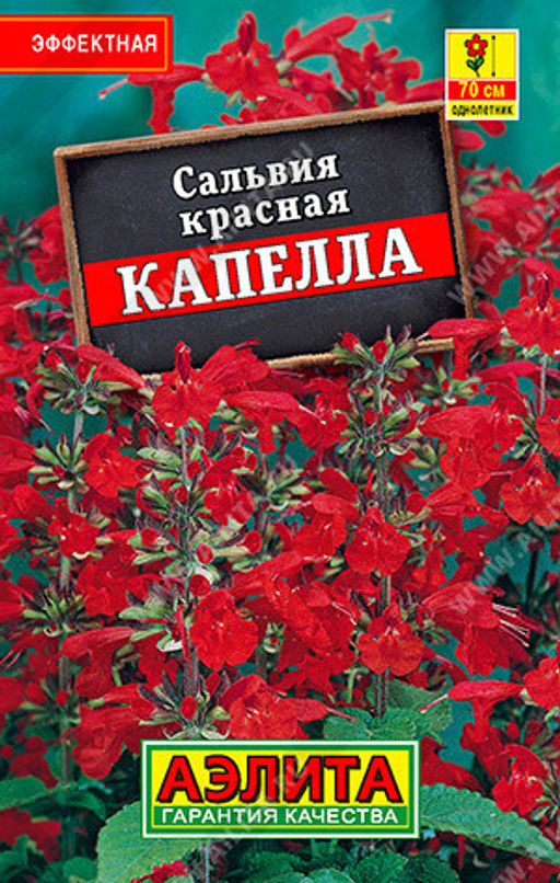 1135L Сальвия красная Капелла 0,1гр