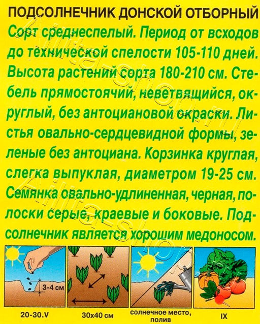 Подсолнечник Донской отборный 5г (Аэлита)