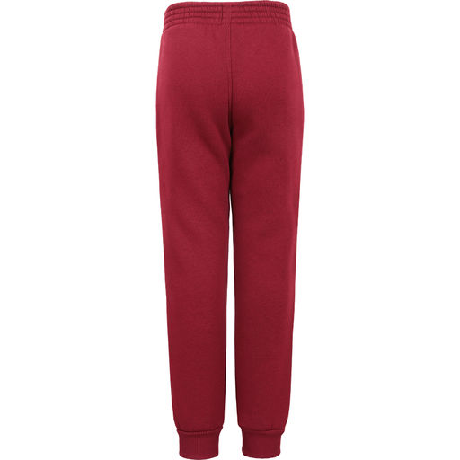 RODOS Брюки детские с начесом М-146д Бордовый