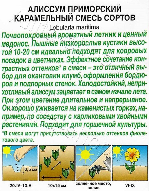 Алиссум Карамельный (смесь сортов) 0,05г (Аэлита)