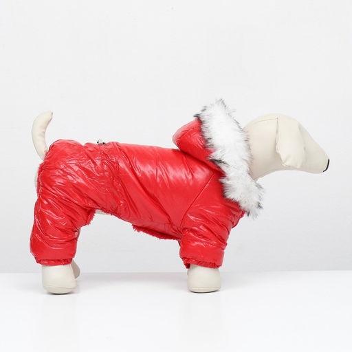 Комбинезон Глянец, размер XL (ДС 39, ОГ 53, ОШ 39 см, до 14 кг), красный - Simaland фото 2