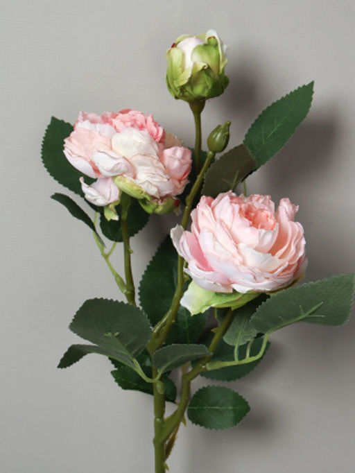 Цветок искусственный Роза пионовидная 50 см / RW-300 /уп 12/144/ - Галеонтрейд фото 4