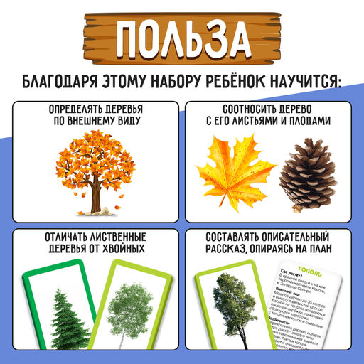 Цена за 2 шт. Развивающий набор «Хвойные и лиственные деревья»