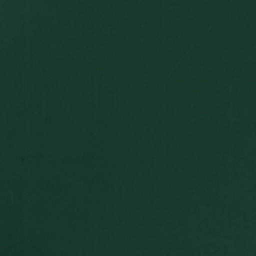 Цена за 20 шт. Пленка для цветов, Золотая сторона, 57x57см 1 см зелёная сосна - UPAK LAND фото 4