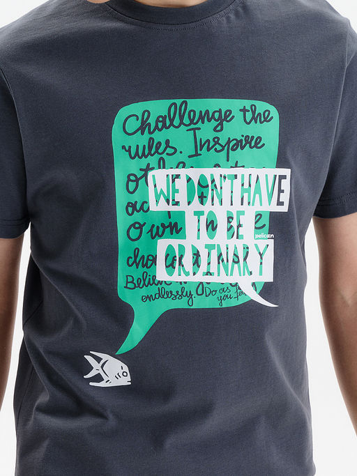 PELICAN, футболка для мальчиков, Серый  фото 3