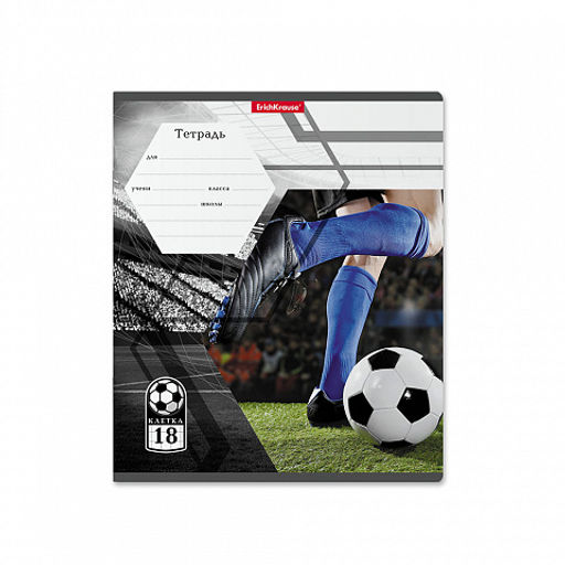 Цена за 200 шт. Тетрадь школьная ученическая ErichKrause Dribbling, 18 листов, клетка (в плёнке по 10 шт.)  фото 4