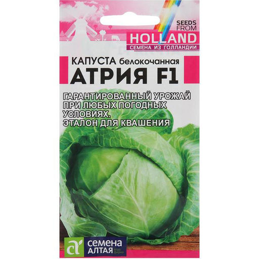 Капуста б/к Атрия 12шт. "Seminis" (Голландские Семена)