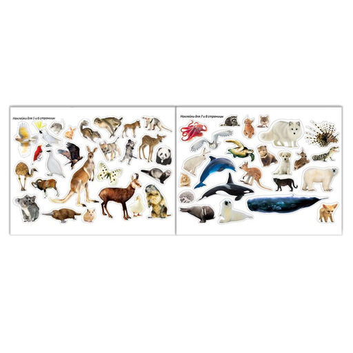 100 наклеек Животные со всего света, 12 стр. - Буква-ленд фото 5