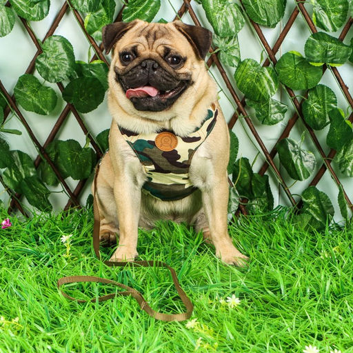 Комплект Рефлекс, размер L, поводок 95 см, ОГ 25-64 см, камуфляж - Пижон фото 10