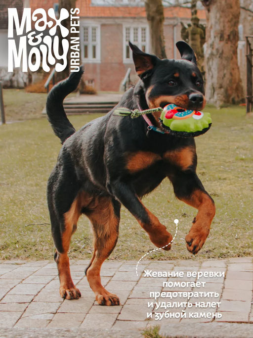 MAX&MOLLY, Комбинированная игрушка Клякса Боб, 13x13x6.5 см, 708114 фото 4