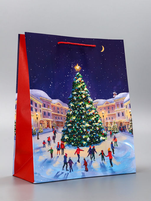 Цена за 2 шт. Пакет подарочный новогодний ламинированный, «Новогодний каток», 26×12×32 см