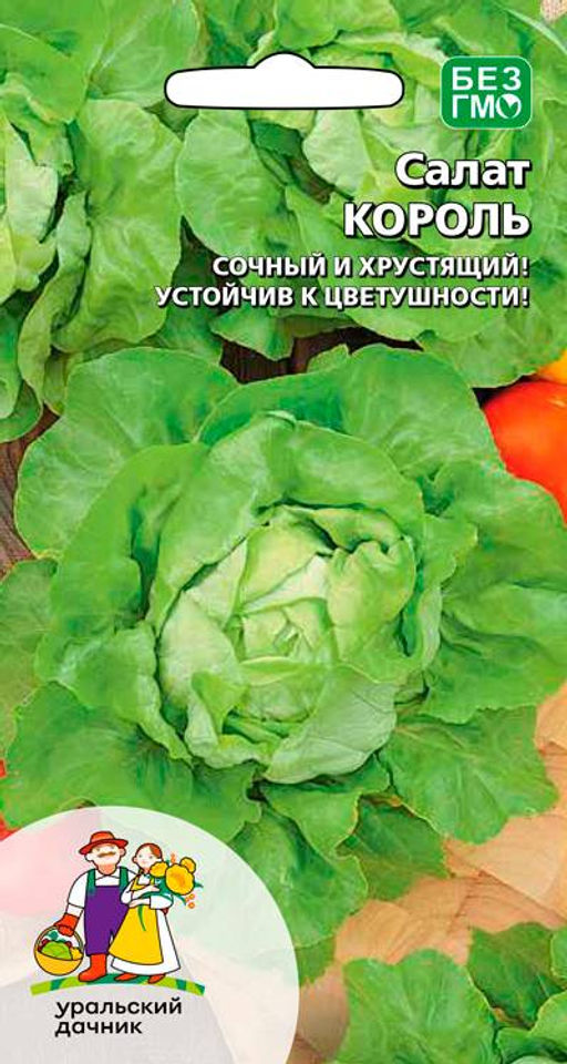 Салат КОРОЛЬ Сочный и хрустящий! Устойчив к цветушности!