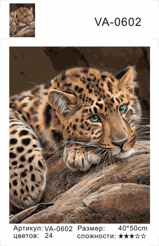 Картина по номерам на холсте и подрамнике 40х50 см