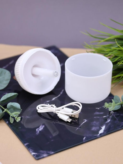 Настольный увлажнитель воздуха - ночник "Cat", white, (портативный, USB)