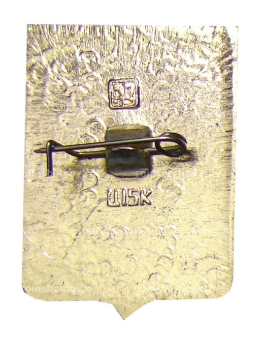 Значок Боровичи