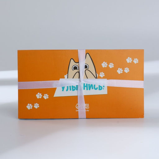 Подарочный набор Котопланинг планинг и ручка - Simaland фото 3