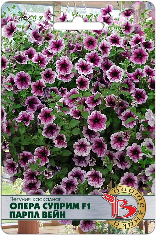 Петуния каскадная Опера Суприм F1 Парпл Вейн - Биотехника фото 2