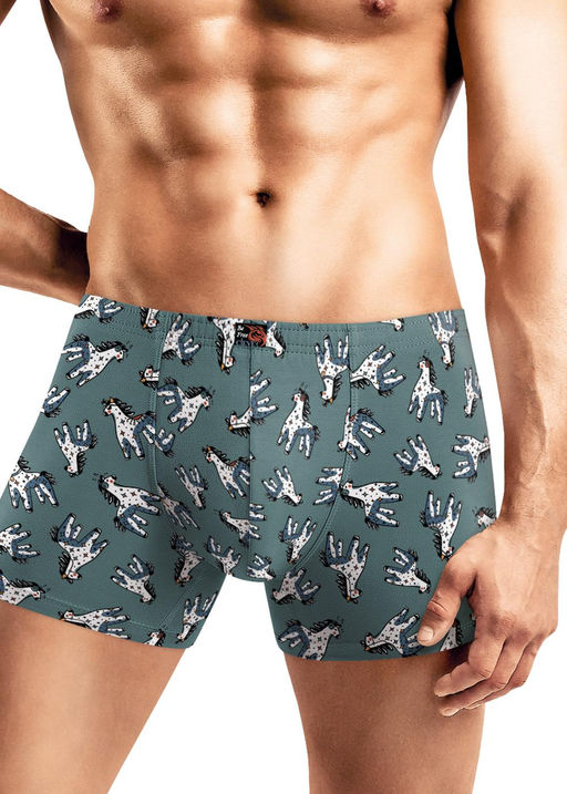 MSH451321 Трусы муж. (ЧЗ) - Clever wear фото 2