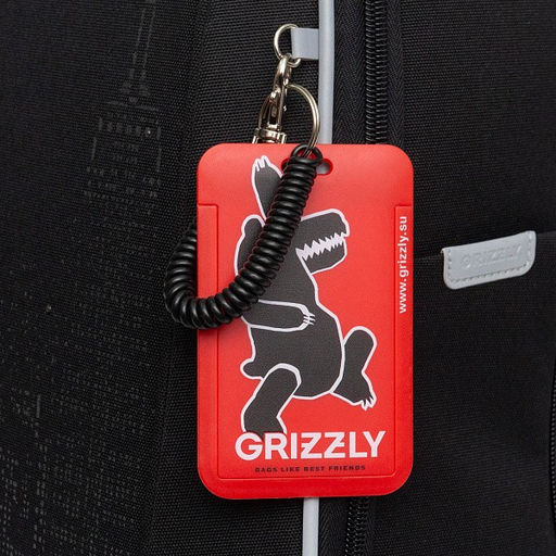 RAf-593-6 Рюкзак школьный - Grizzly фото 29