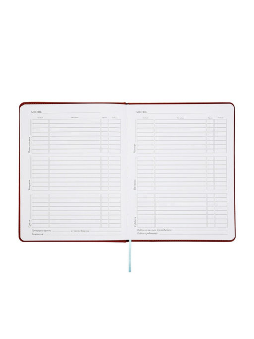 Дневник школьный 1-11 класс, ляссе, обложка искусственная кожа, с хлястиком, коричневый