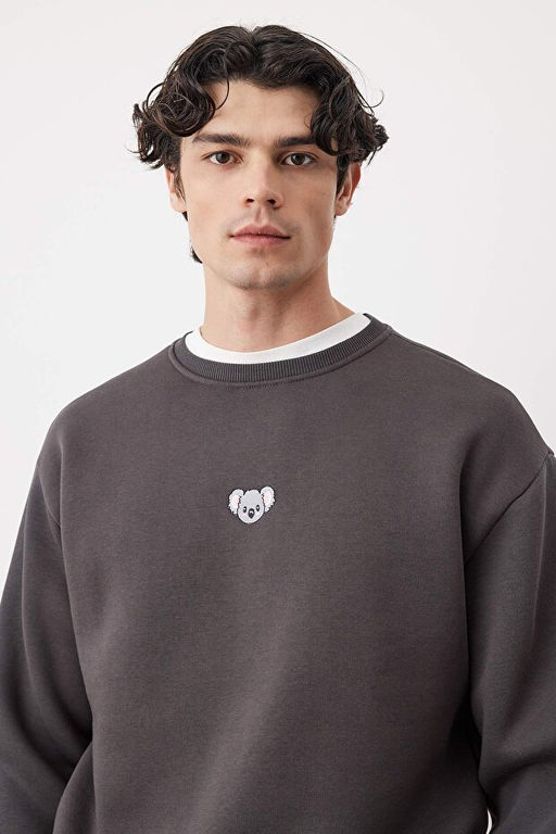 Antrasit Bisiklet Yaka Oversize/Geni_ Kesim __i Polarl_ Koala Nak__ Sweatshirt TMNAW24SW00064 - Trendyolmilla фото 2