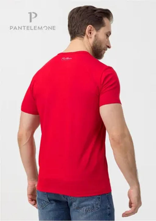 Футболка мужская MF-1087 - Pantelemone фото 2
