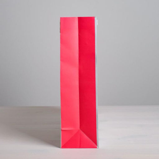 Цена за 2 шт. Пакет подарочный ламинированный, упаковка, «Ты прекрасна», ML 23 х 27 х 11.5 см