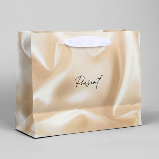 Цена за 2 шт. Пакет подарочный, упаковка, «Present», 22×17.5×8 см