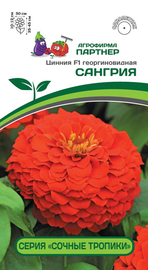 Цинния георгиновидная Сочные тропики Сангрия