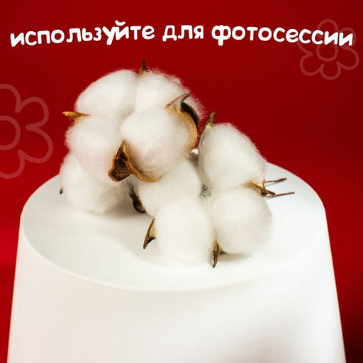 Декор для творчества «Сухие цветы хлопка» на проволоке, 3 шт.