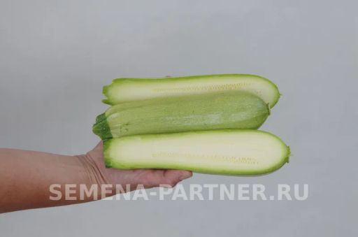 Кабачок Кавили - Партнер фото 4