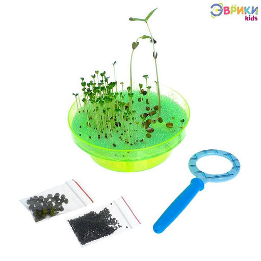 Набор для опытов Выращиваем растение: лупа, семена, тарелка, губка - Эврики фото 2