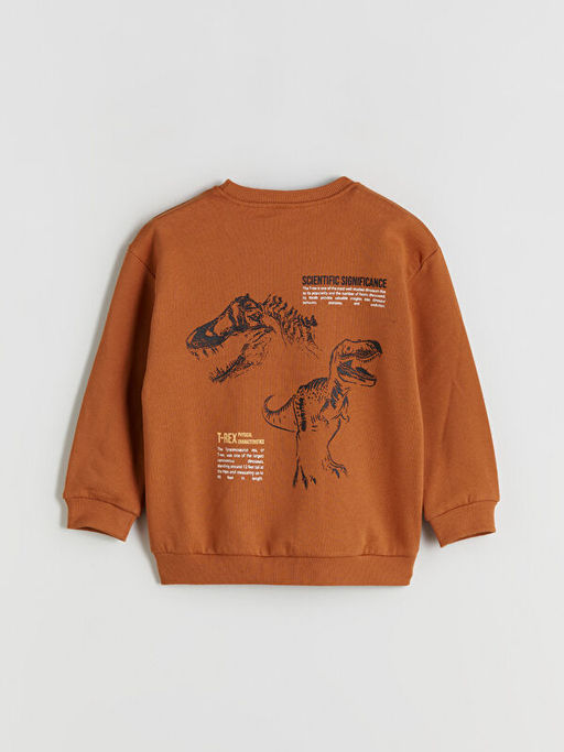 Dinozor Fig?rl? Erkek ?ocuk Sweatshirt 2li