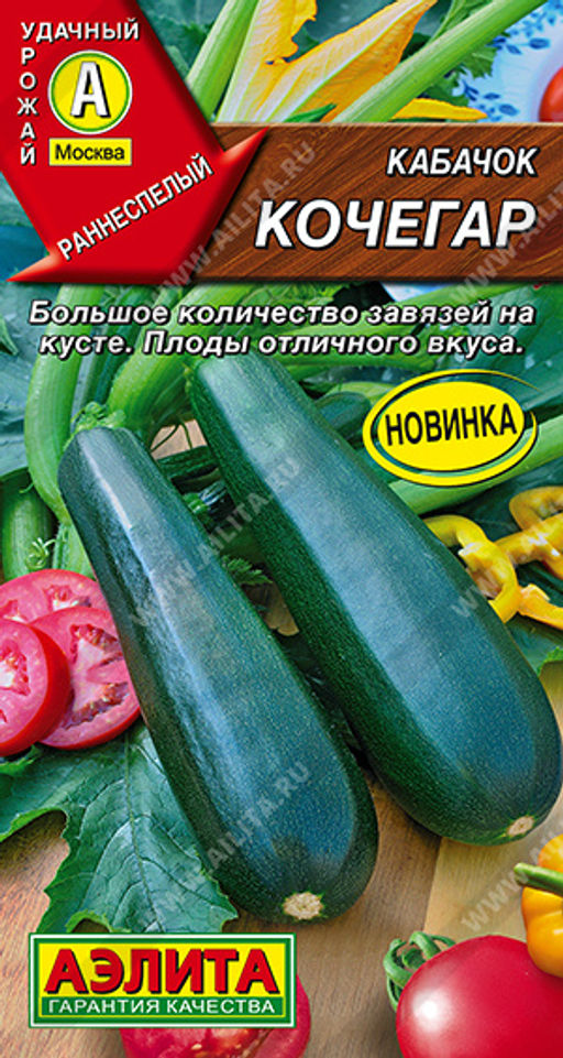 Кабачок цуккини Кочегар (2030
