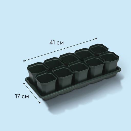 Набор для рассады: стаканы по 300 мл (10 шт.), поддон 41×17 см, цвет МИКС